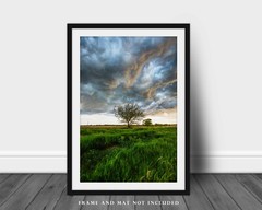 Country Photography Print – Vertical Picture of Tree Under Stormy Sky in Kansas