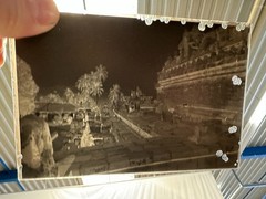 Seven Studies on Glass Plate China, Circa 1920, Photo TE1201