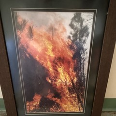 Lot of 3 Matted & Framed Color Wildfire Smoke Forest Photo Wall Art, Portrait