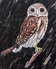 Owl on a Log Wall Art DIGITAL DOWNLOAD Cottagecore Farmhouse Bird Lover Decor