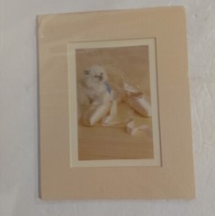 Susan Schilling 1986 Photography. Kitten and Ballet Shoes. 8 x 10