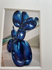 Alexander Hofrichter Ballon Dog 2002 Photo German Artist 12+8 Inches Blue