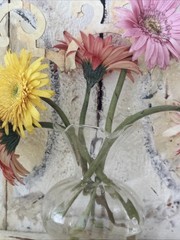 Chris Bruno Photography Flowers in Vase Jacksonville, FL 4×5”