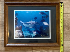 Pair Signed Cayman Islands Underwater Photographs Cathy Church Mike Lawrence