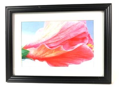 HIBISCUS IV 4×6 » MATTED AND FRAMED PRINT, READY TO HANG, GREAT FOR GIFTGIVING