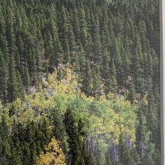 Set of Two Leadville Colorado Photo Prints – Matted – Barn Fall Colors Decor
