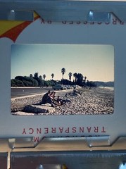1958 Lot Of 30 Santa Barbara Las Vegas Vintage Color Slides