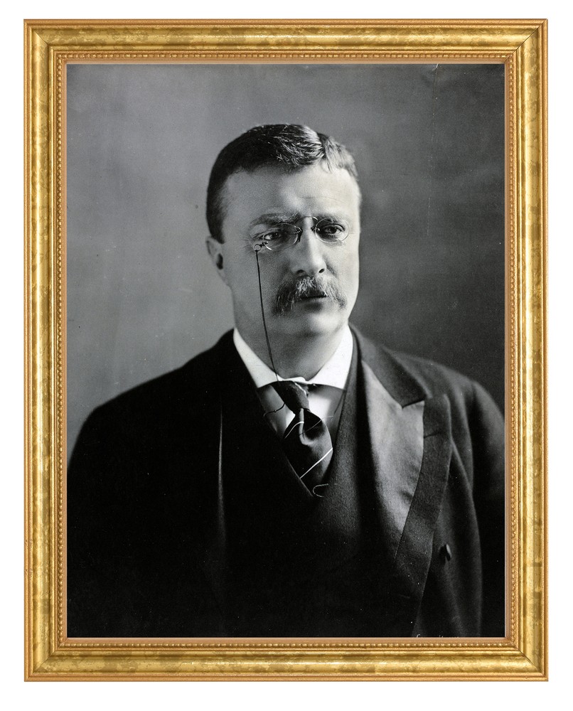 Theodore Roosevelt Photograph in a Aged Gold Frame