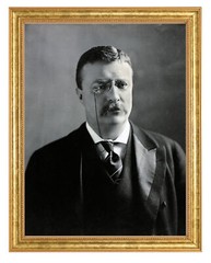 Theodore Roosevelt Photograph in a Aged Gold Frame