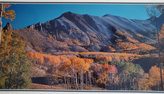 Thomas Mangelsen Rocky Mountain Indian Summer Lim Ed Framed Print Photograph