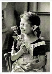 Chester Higgins Jr. Art Photo Print Card – A Birthday Rose, NYC, 1975 4.25”x6”