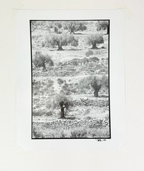 Bill Aron et al / Silver Bullet Gallery 1983 / Limited First Edition Signed by 3