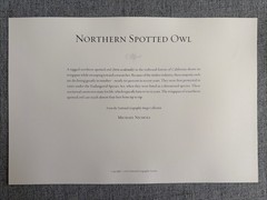 Northern Spotted Owl Wildlife Photo By Michael Nichols. National Geographic