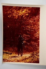 Vintage Analog Photo France Hunting Foxhunting Horse 24X30Cm 1970