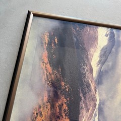 Framed Mountain Landscape Photo Print Snow Peak Gold Aspen Forest