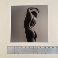 GMNE – Kat Series #1 Photo Triptych