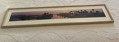 Panoramic Framed ECON Top Econlockhatchee River Florida Steve Vaughn 52:11’