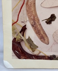 Vintage Original Richard (Ric) Petry 1979 Still Life Collage Photograph Signed