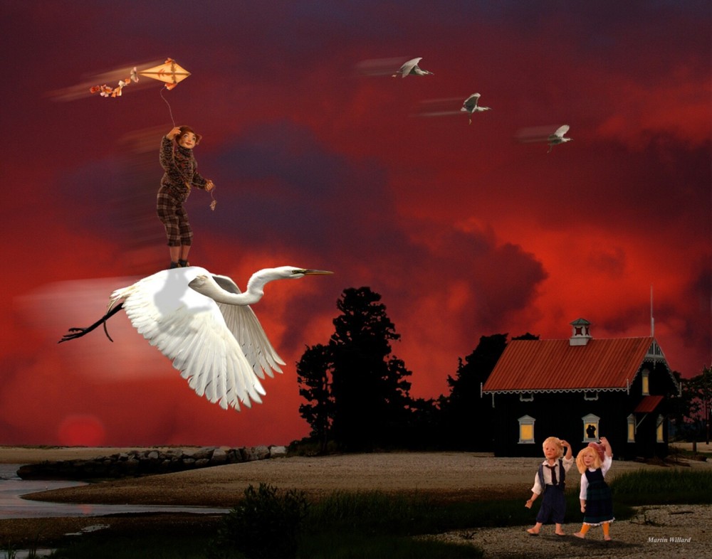 Composite night kite flyer on white egret. Great for kids room.