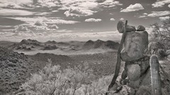 Photography Art Print of Arizona Desert Landscape in Black and White with Frame