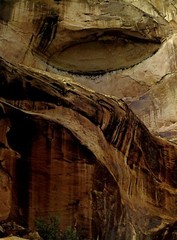 1962 Eliot Porter Glen Canyon Entrance to Hidden Passage Art Photo Gravure