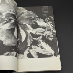 Daido Moriyama LIGHT & SHADOW Kodansha 2009 photography BOOK monochrome USED JPN