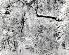 1947 1990s Ansel Adams Fresh snow Yosemite National Park Large Art Photo