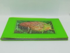 A Piece of Heaven Mika Ninagawa Photo Book Photography