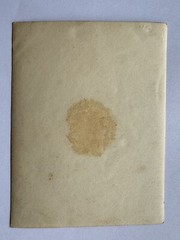 orig. Foto Fotografie Kind Kinder um 1930