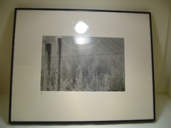ART PHOTOGRAPHY A fence with grass black & white by L. Santucci Frames 16x20in