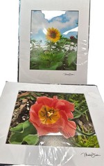 Michael Descher Wall Art 10×8 Lot Of 2 Flowers