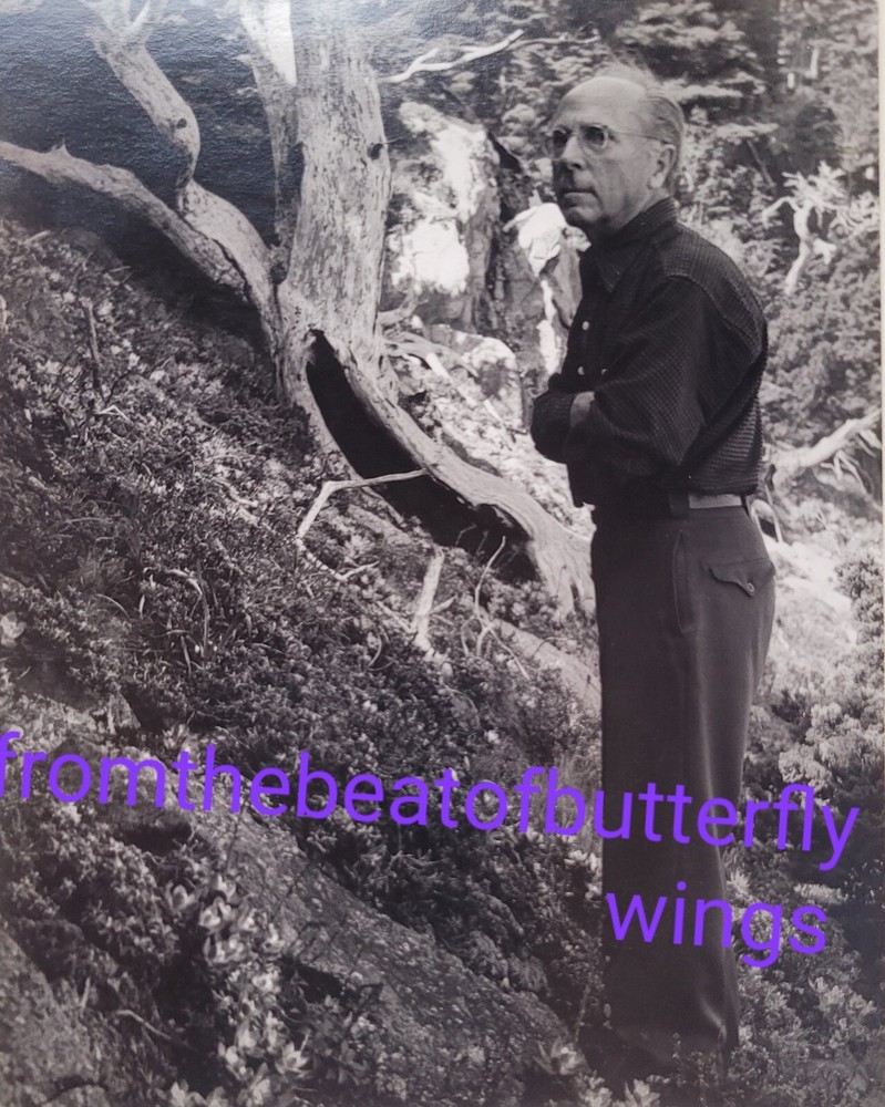 1948 Edward Weston Portrait Photograph by Harry Bowden Original