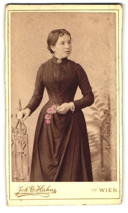 Photograph Joh. E. Hahn, Vienna, Mariahilferstrasse 105, Lady with Flower, Coloured