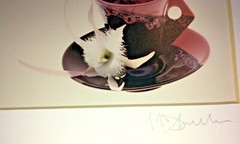 Limited Photograph Print WHITE ORCHID & TEACUP-M D Smith-#20 of 24-Matted-Great