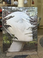 16×20 Canvas photo art