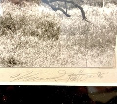 Vintage hand signed original photograph Sycamore Grove Livermore, CA 1996 14×11