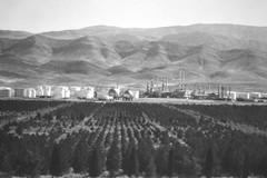 Vintage James W. Howlett Black and White Photograph, ‘Iranian Oil’