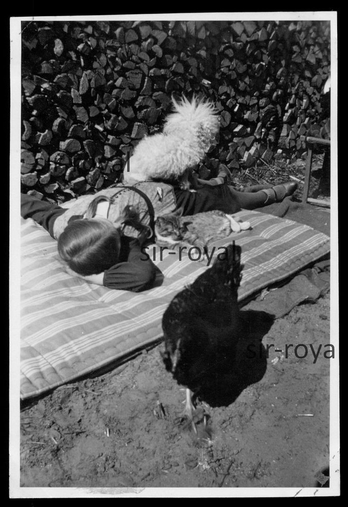 1932 – Girl Lying with Cat and Chicken on Blanket – 1930s – Photo 6x9cm