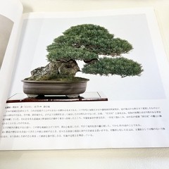 Nihon Bonsai Sakufu Ten 5th 1980 potted plants Japanese tradition art Photo Book