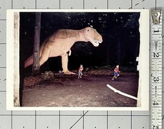 Ted Degener – Food Chain, 1984 – Fotofolio Art Card Print