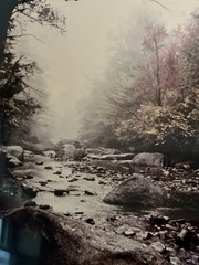 Gary Steinke Framed Photo Adirondack, Mtns New York Signed River In Fall 20 X 16