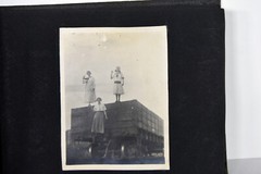 Antique Photo Album PA Conneaut Lake Pennsylvania Nurse Pets Horses Women