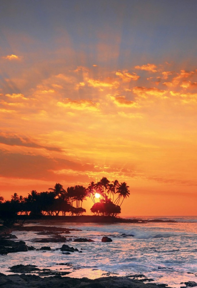 Kona by Peter Lik Fine Arts Koa Wood Frame Mint Condition Big Island of Hawaii