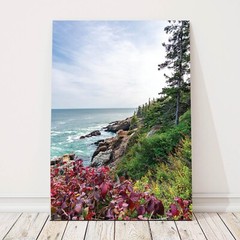 Coast of Maine Wall Art Print, Acadia National Park Photography, Fall Colors