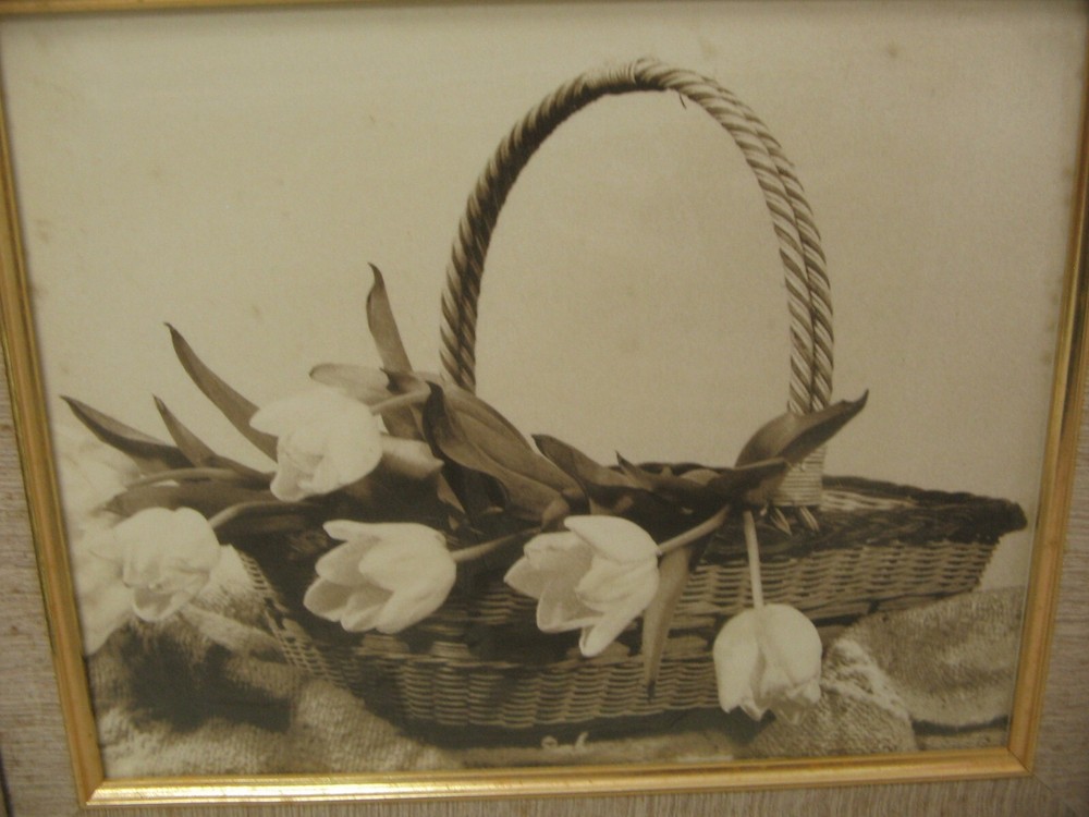 Framed Picture of Flowers in Basket 14 x 16 USED