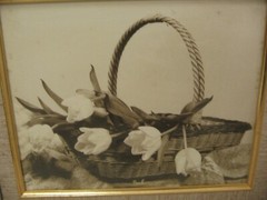 Framed Picture of Flowers in Basket 14 x 16 USED