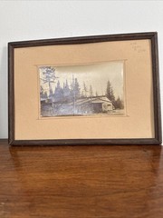Superb Vintage Adirondack Photo House In The Pines
