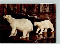 39835342 – 6000 Frankfurt Eisbaeren Place Handwritten Zoo