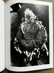 RARE SIGNED Daido Moriyama – Fragments: Representation 1964-98, Japan Limited Ed