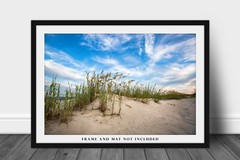 Coastal Photography Print – Picture of Sand Dunes and Sea Oats in South Carolina